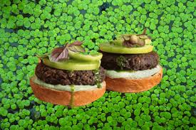 /MANKAI RED ZÖNE에 대한 이미지 검색결과