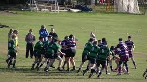 Image result for Old Reigatian Rfc