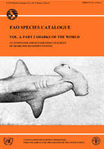 Image result for Scylliogaleus quecketti