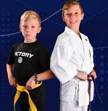 Image result for Martial Arts Karate Mesa AZ