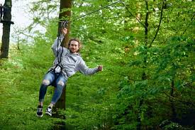 Image result for Go Ape! Thetford