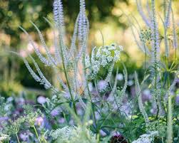 Image result for Ulf Nordfjell