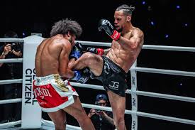Image result for American Kick Boxing Club