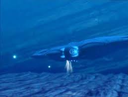 Image result for seaquest stinger