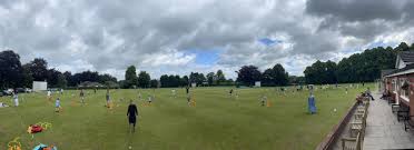 Image result for Elworth Cricket Club
