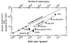 Image result for genome sizes