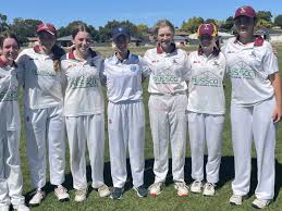 Image result for Mellis Cricket Club