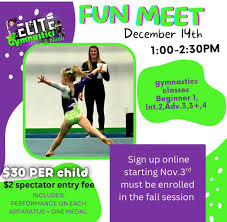 Image result for Epping Forest Elite Gymnastics Club