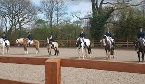 Image result for Bookham Riding School
