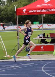 Image result for Pembrokeshire Harriers