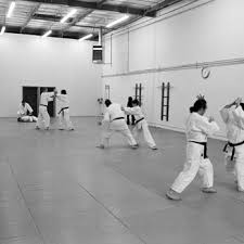 Image result for Goryukai Aikido Yoshinkan (Chichester)