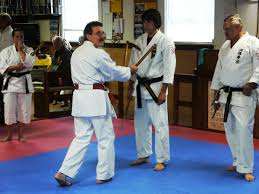 Image result for Sandokai Karate