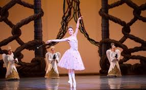 Image result for Magic of Ballet Club