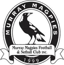 Image result for Ledbury Magpies Netball Club