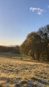 Image result for Dalkeith Park Equestrian Club