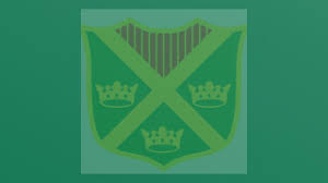 Image result for Godmanchester Town Cricket Club