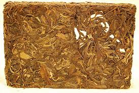 Image result for 2009早春