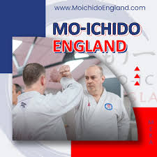 Image result for MO-ICHIDO