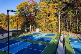 Image result for Acomb Tennis Club