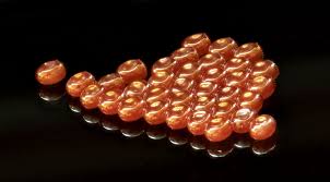 Attēlu rezultāti vaicājumam “Arcyria incarnata young”