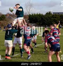 Image result for Widden Old Boys Rfc