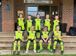 Image result for Compton and Shawford Sports Club