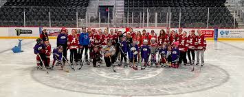 Image result for Adur Skater Hockey Club