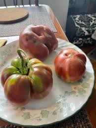 Afbeeldingsresultaat voor cherokee purple tomato