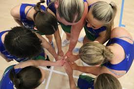 Image result for Hull Chevrons Netball Club