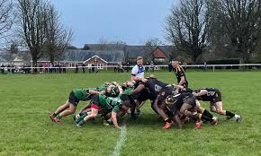 Image result for Ivybridge Cricket Club