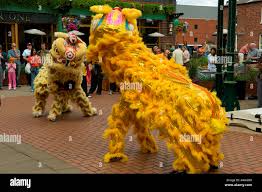 Image result for Colenorton Dragons