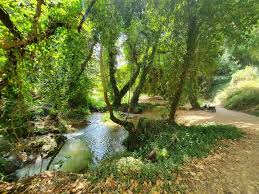 Attēlu rezultāti vaicājumam “Leporida”