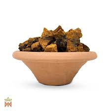 Attēlu rezultāti vaicājumam “Inonotus obliquus”