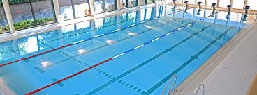 Image result for Kingsbury Aquarius Swimming Club