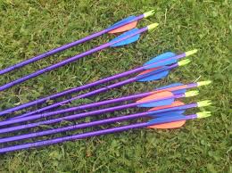 Image result for Burntwood Archers
