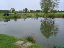 Image result for Bay Malton Angling Club