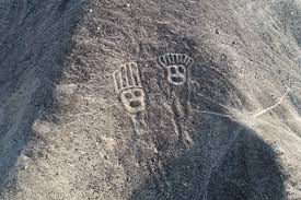 Image result for pálpusztai