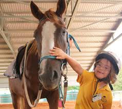 Image result for Riding For The Disabled