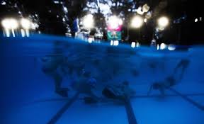 Image result for Caversham Underwater Hockey Club