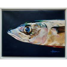 Image result for Caranx crysos