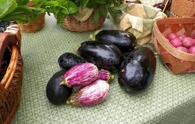 Attēlu rezultāti vaicājumam “Tragopogon pratensis subsp. pratensis fruit”