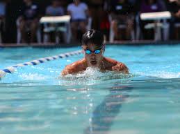 Image result for Ware Swimming Club