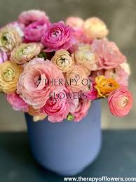 Attēlu rezultāti vaicājumam “Ranunculus elatior flower”