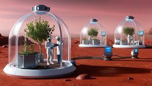 Image result for mars trees