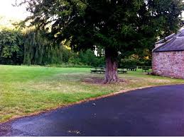 Image result for Dalkeith Park Equestrian Club