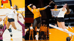 Image result for Sutton Volleyball Club