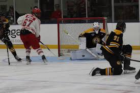 Image result for Lytham St Annes Hockey Club