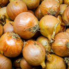 Image result for Zwiebeln