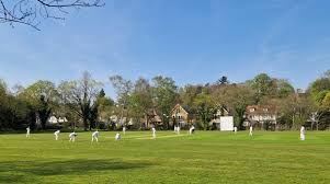 Image result for Woking and Horsell Cricket Club