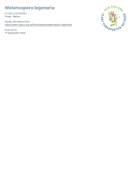 Attēlu rezultāti vaicājumam “Melanospora lagenaria”